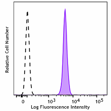GMP Spark Violet™ 538 anti-human CD45 Antibody (260422)