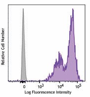 PE anti-human CD99 Antibody (371305)