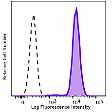 PE anti-BACH2 Antibody (695603)
