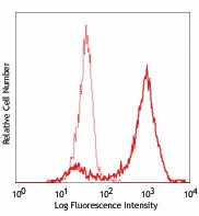 Purified anti-human Ki-67 Antibody (350501)