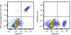 PE/Fire™ 640 anti-human CD19 Antibody (302273)