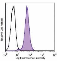 PE anti-NF-κB p65 Antibody (653003)