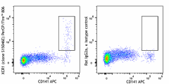 PerCP/Fire™ 806 anti-human XCR1 Antibody (372635)