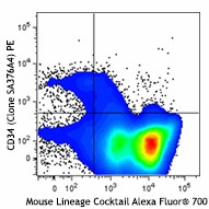 PE anti-mouse CD34 Antibody (152203)