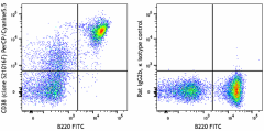 PerCP/Cyanine5.5 anti-mouse CD38 Antibody (165613)