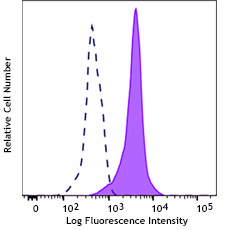 Purified anti-PTEN Antibody (366201)