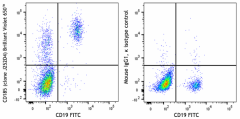 Brilliant Violet 650™ anti-human CD185 (CXCR5) Antibody (356965)