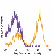 PE/Cyanine7 anti-mouse I-A/I-E Antibody (107629)