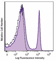 Pacific Blue™ anti-mouse CD4 Antibody (116007)