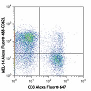 Alexa Fluor® 488 anti-mouse CD62L Antibody (104419)