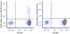 Purified anti-human CD198 (CCR8) Antibody (365702)