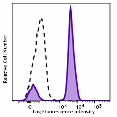 GMP PE anti-human CD28 Antibody (260008)