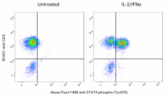 Alexa Fluor® 488 anti-STAT4 Phospho (Tyr693) Antibody (941207)