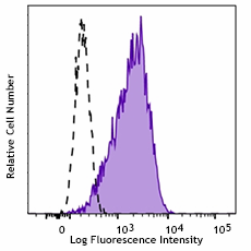 Purified anti-human/mouse/rat MR1 Antibody (396102)