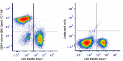 Spark YG™ 581 anti-mouse CD19 Antibody (115575)