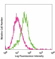 PE anti-mouse CD144 (VE-cadherin) Antibody (138105)