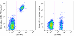 PE/Cyanine7 anti-human CD268 (BAFF-R) Antibody (316920)