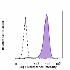 PE/Cyanine7 anti-Tubulin β 3 (TUBB3) Antibody (801217)