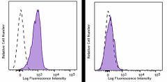 PerCP/Cyanine5.5 anti-mouse H-2Db Antibody (111518)