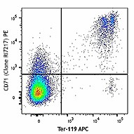 PE anti-mouse CD71 Antibody (113807)
