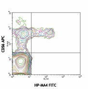 FITC anti-human CD158 (KIR2DL1/S1/S3/S5) Antibody (339503)