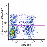PE anti-human KLRG1 (MAFA) Antibody (368609)