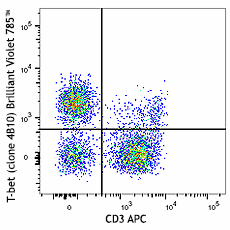 Brilliant Violet 785™ anti-T-bet Antibody (644835)