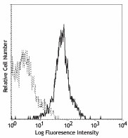 PE anti-mouse IFN-γR β chain Antibody (113603)