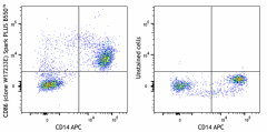 Spark PLUS B550™ anti-human CD86 Antibody (381013)