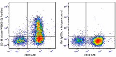 Purified anti-mouse CD138 (Syndecan-1) Antibody (112502)