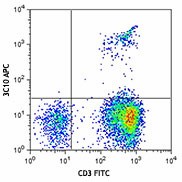 APC anti-human TCR Vα7.2 Antibody (351707)
