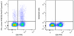 PerCP/Cyanine5.5 anti-mouse IFN-γ Antibody (163509)