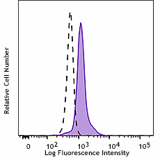 KIRAVIA Blue 520™ anti-human CD86 Antibody (305451)