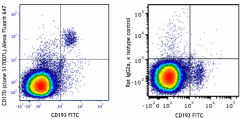 Alexa Fluor® 647 anti-mouse CD170 (Siglec-F) Antibody (155519)