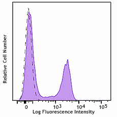 Alexa Fluor® 488 anti-rat IgG2b Antibody (408210)