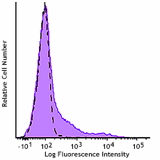 GMP Pacific Blue™ anti-human HLA-DR Antibody (260164)