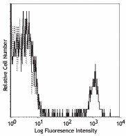 PE/Cyanine5 anti-human CD19 Antibody (302209)