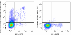 Brilliant Violet 510™ Donkey anti-rabbit IgG (minimal x-reactivity) Antibody (406419)