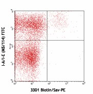 Biotin anti-mouse DC Marker (33D1) Antibody (124903)