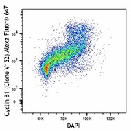Alexa Fluor® 647 anti-Cyclin B1 Antibody (647905)