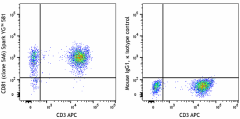 Spark YG™ 581 anti-human CD81 (TAPA-1) Antibody (349531)