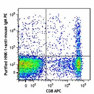 Purified anti-human CD57 Antibody (359602)