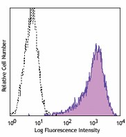 PE anti-mouse CD133 Antibody (141203)