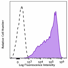 Spark NIR™ 685 anti-mouse CD25 Antibody (102069)