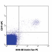 Biotin anti-human IgM Antibody