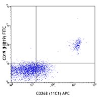 APC anti-human CD268 (BAFF-R, BAFFR) Antibody (316916)