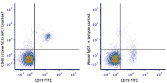 APC/Cyanine7 anti-human CD40 Antibody (334323)