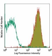 Biotin anti-rat CD45 Antibody (202203)