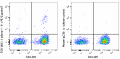 PE/Cyanine7 anti-human TCR Vβ13.1 Antibody (362406)