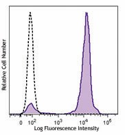 Brilliant Violet 510™ anti-mouse Ly-6G/Ly-6C (Gr-1) Antibody (108437)
